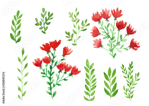 Watercolor illustration, simple red wild flower, green twigs. On a white background, isolated, with stains, children's drawing, set.