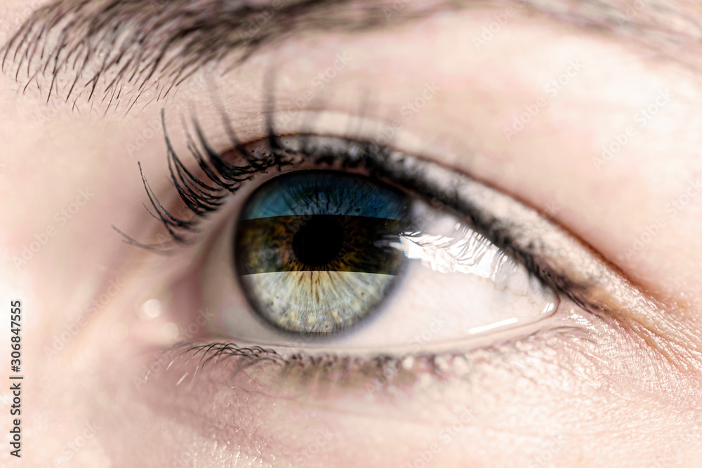 Flag of estonia reflects in woman green eye - close-up view - election, sport, hope, young, generation Flag of estonia reflects in woman green eye - close-up view - election, sport, hope, young, generation
