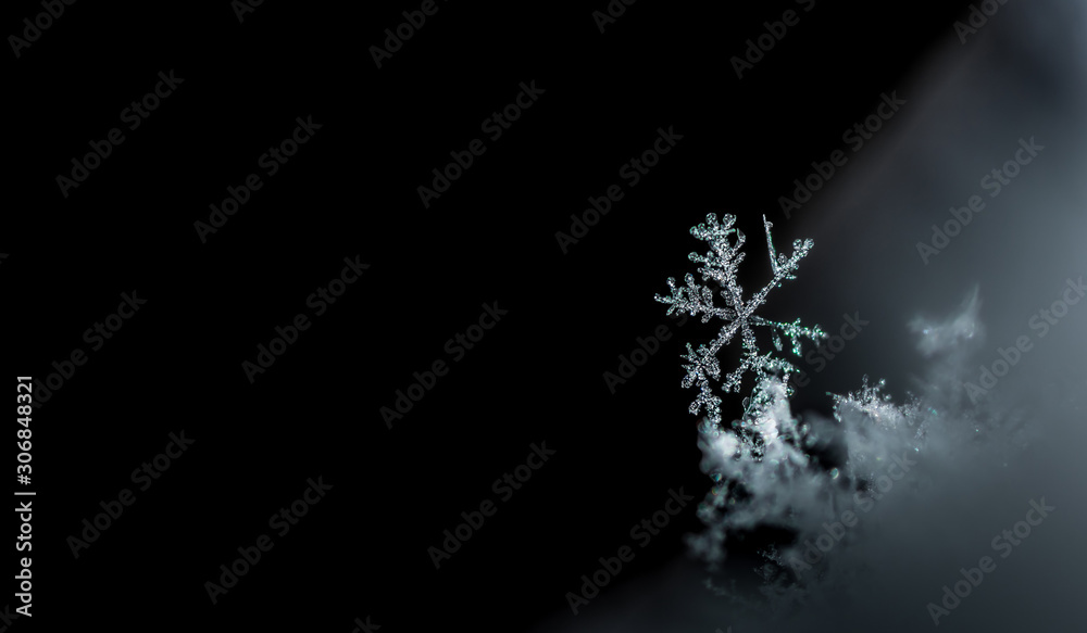 Fototapeta premium zarter duenner schneekristall