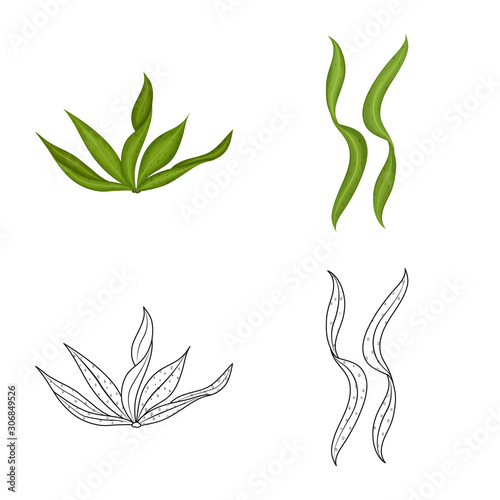 Isolated object of protein and sea symbol. Set of protein and natural stock symbol for web.
