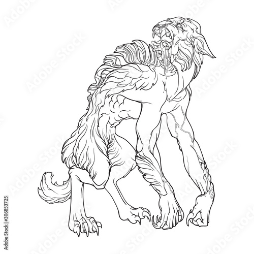 Werewolf. A legendary monster from european folklore tales. Black linear drawing isolated on a white background. Coloring book or tattoo design. EPS10 vector illustration.