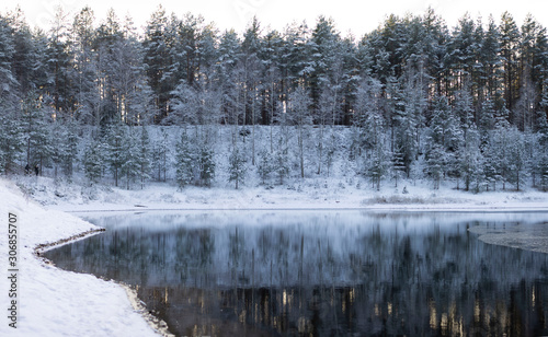 Snowy winter trees by a lake. frosty reflection, sunset. Located in Ogre, Latvia. Landscape capture with forest trees, spruces and pines