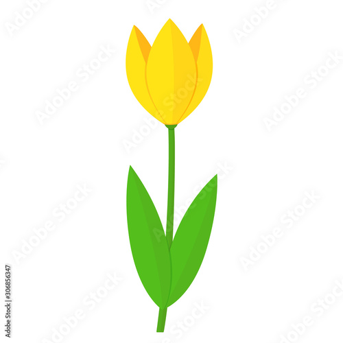 Yellow single tulip flower spring holiday concept. Flat style colorful vector illustration isolated on white background.