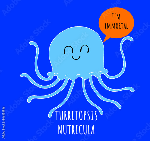 Fotografija A funny illustration of a jellyfish of the species turritopsis nutricula, better
