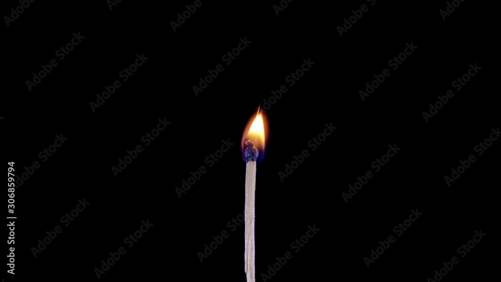 Match lighting and burning on black background. The match lights up, burns and goes out. Burning match stick lights and then blown out. Match lighting and burning on black background. The match lights up, burns and goes out. Burning match stick lights and then blown out.