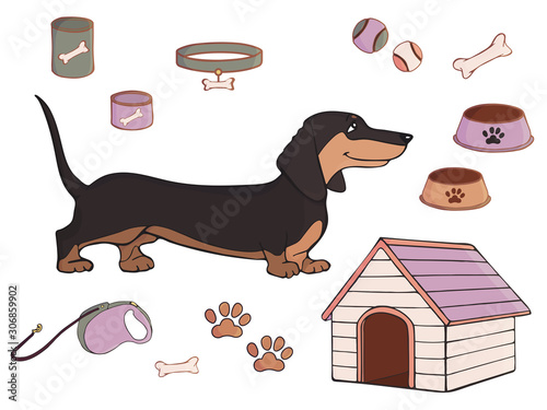 Dachshund. Accessories for dog on a white background. Doggie character in cartoon style. Hand-drawn color sketch. Isolated vector illustration. Kennel, bone, ball, bowl, tin can, feed, leash, collar.