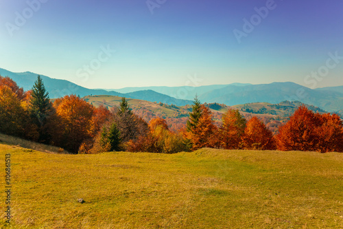 Autumn in the mountains. View of the mountain slope in autumn. Beautiful nature landscape. Carpathian mountains. Bukovel, Ukraine
