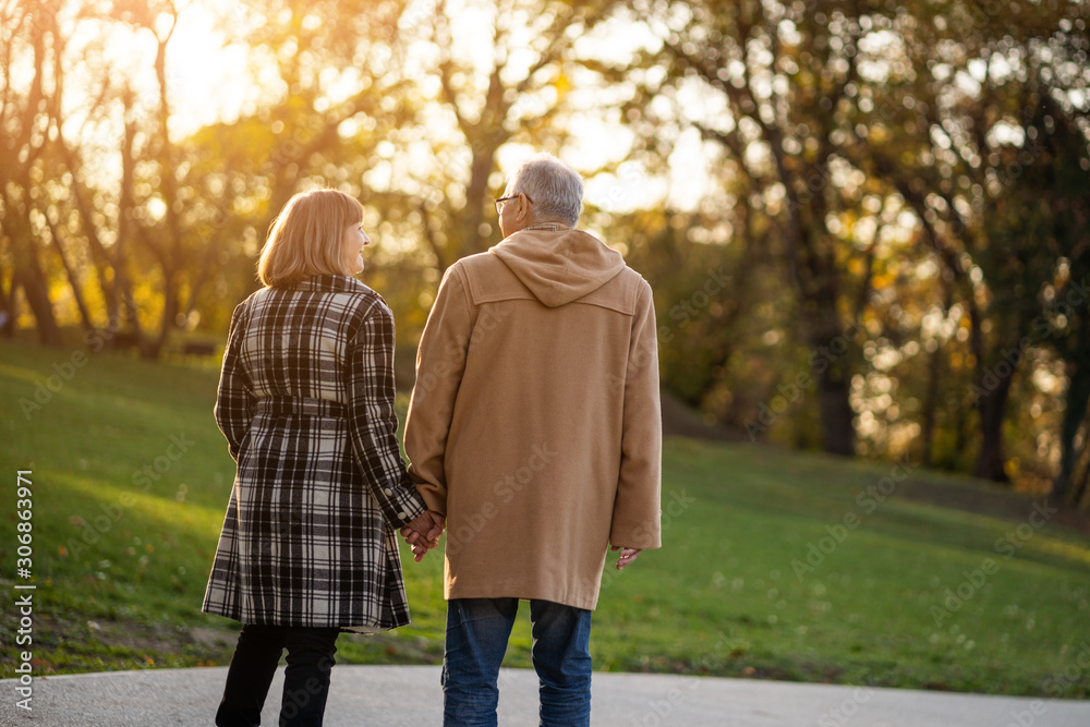 Romantic senior couple is walking in park in autumn. Romantic senior couple is walking in park in autumn.