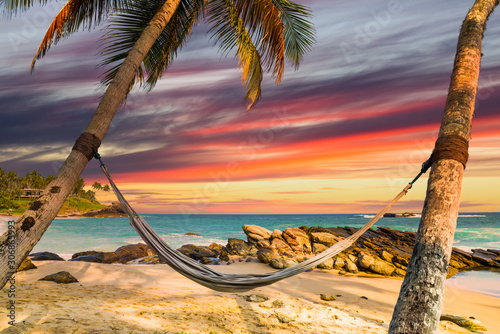 Hammock on palm trees at sunset. Tropical resort  vacation at sea