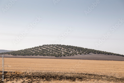 Country landscape in Seville province Andalusia Spain