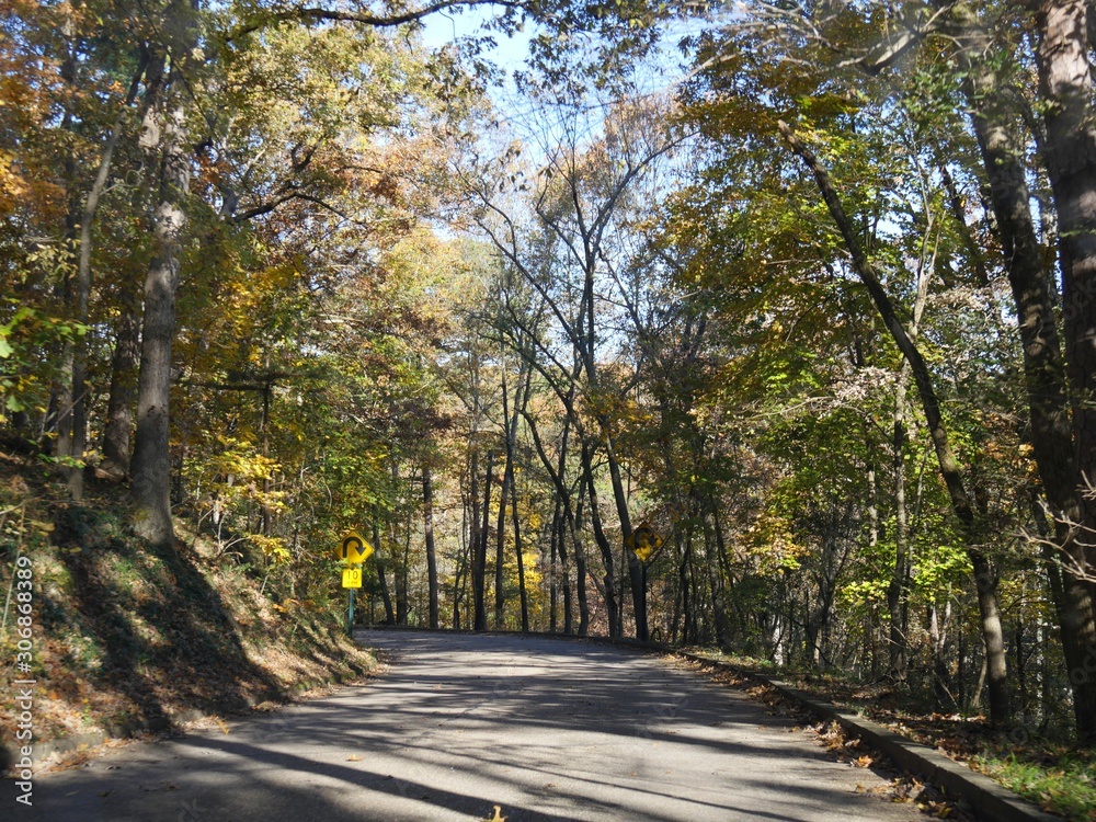Colorful trees line a winding road in Arkansas in autumn.