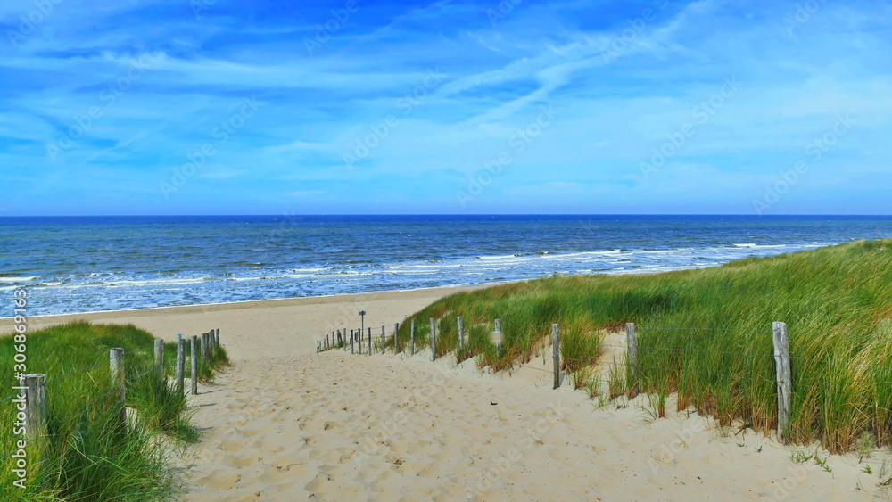 dünen an der nordsee, sandstrand in holland, zugang zum meer dünen an der nordsee, sandstrand in holland, zugang zum meer