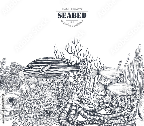 Vector monochrome seamless coral reef pattern with tropical fish