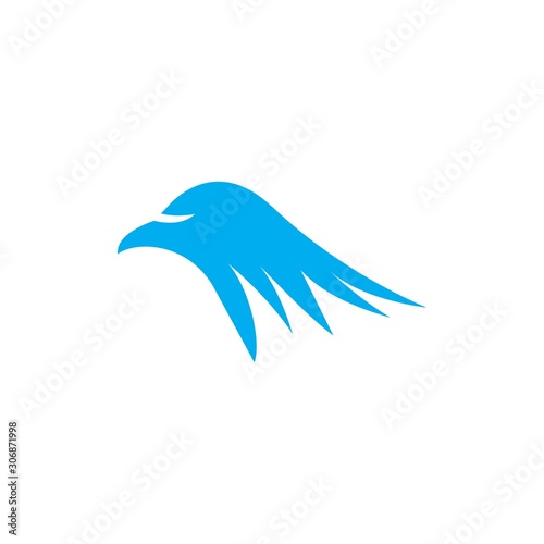 Falcon Wing Logo