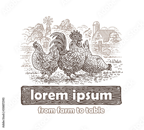 Rooster and 2 hens package label illustration. Layered. Board pattern kept under letters. Vector. 