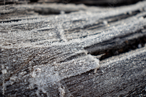 A fallen tree with a beautiful texture, covered with ice - small crystals of ice