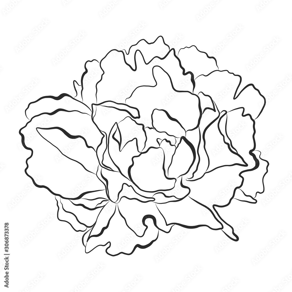 Flower line art pencil sketch Flower line art pencil sketch