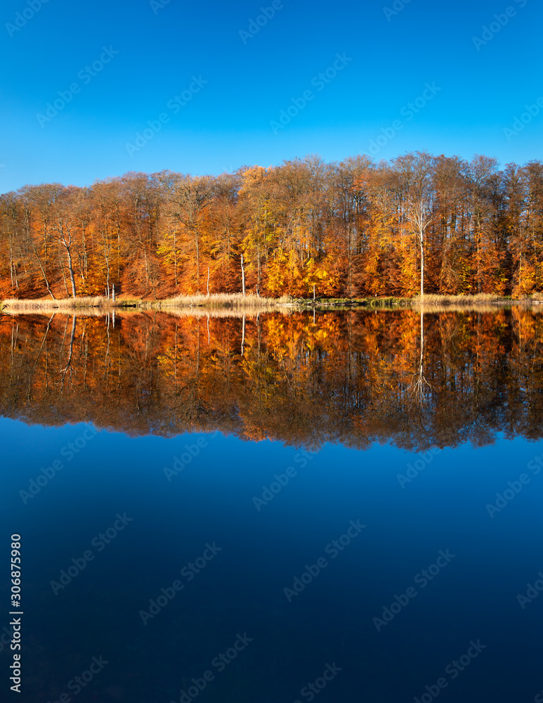 Stiller See im Müritz-Nationalpark, Herbst, bunter Wald spiegelt sich, blauer Himmel