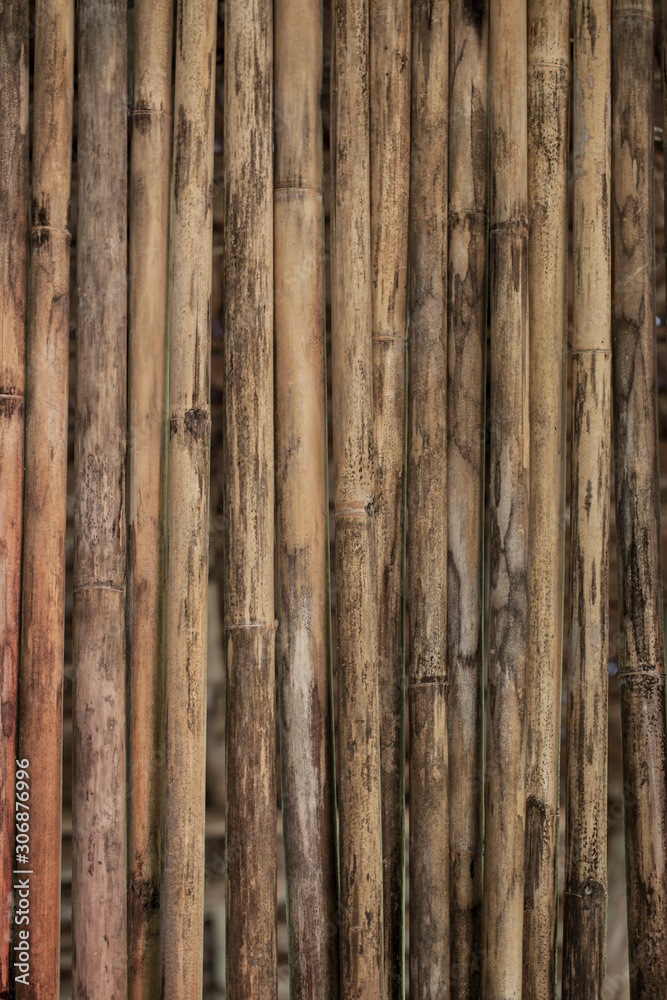 quality natural bamboo background texture. quality natural bamboo background texture.
