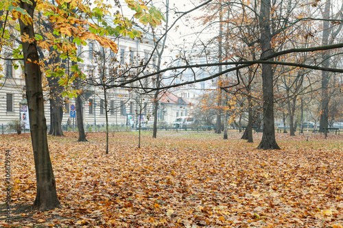 KRAKOW, POLAND - NOVEMBER 27, 2019: Planty - city park