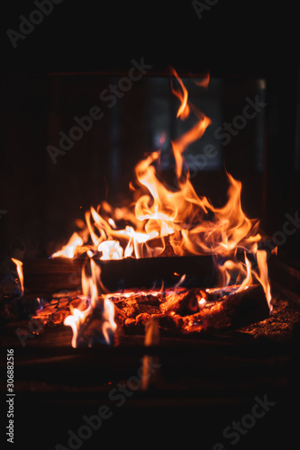 Burning firewood in the fireplace. Bonfire photo