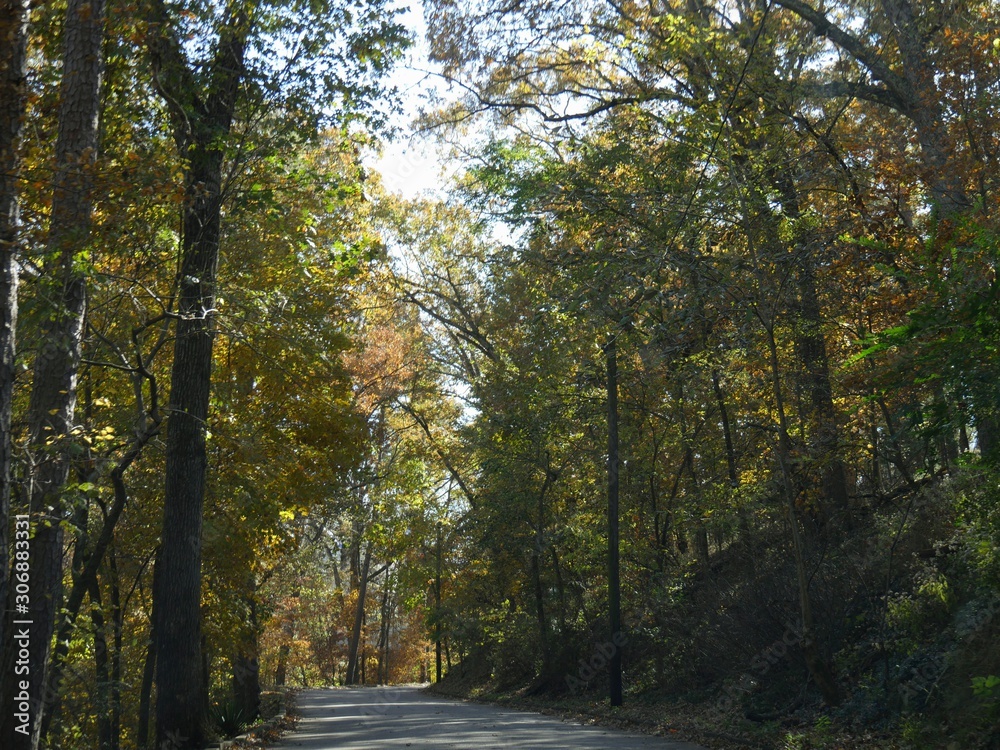 Scenic autumn colors along winding paved roads in Arkansas.
