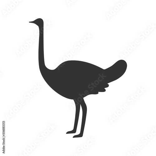 Ostrich standing. Flat icon. Vector illustration.