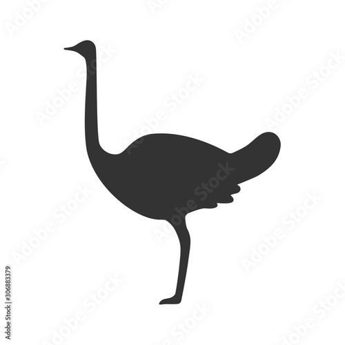 Ostrich is standing on one leg. Flat icon. Vector illustration.