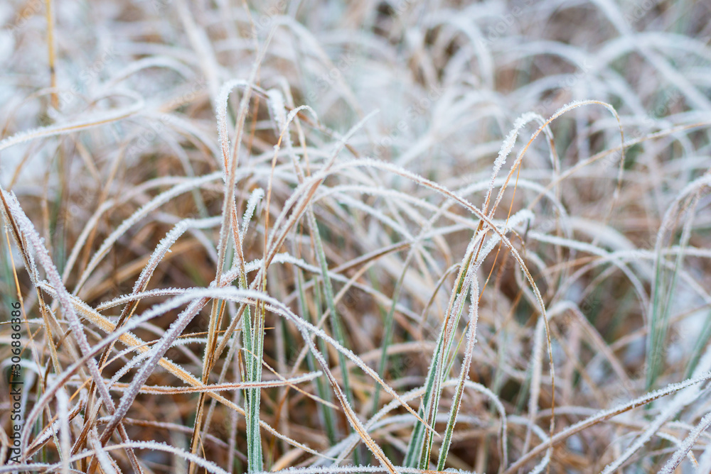 Beautiful winter landscape, frozen grass, background