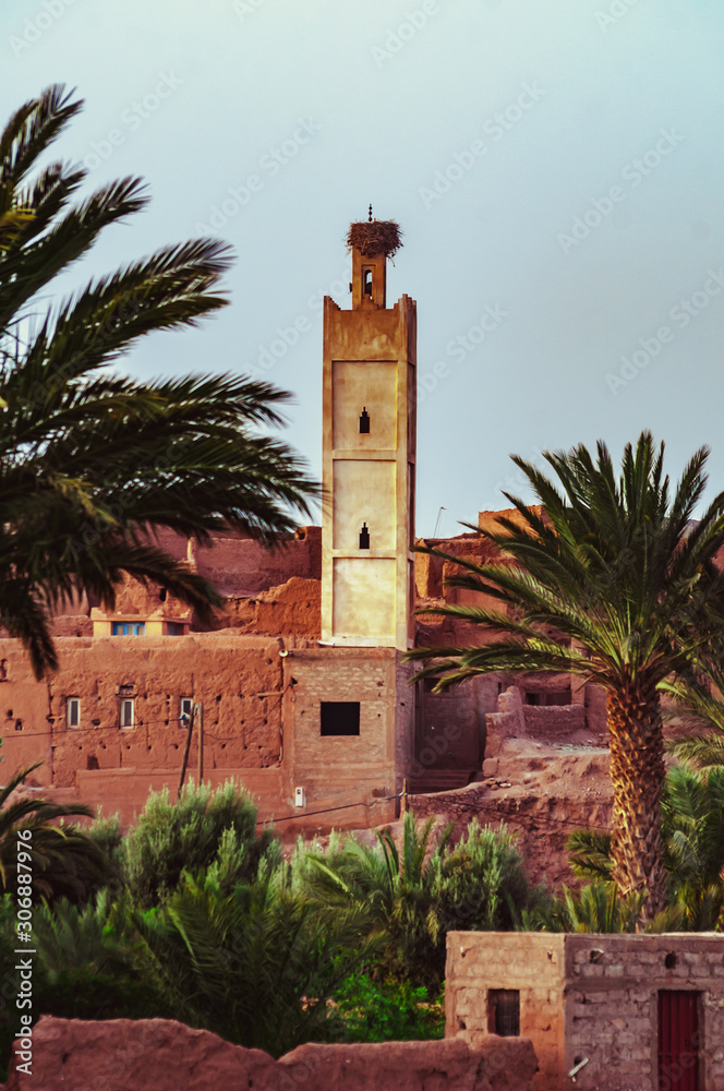 Obraz premium Storks nesting on old Moroccan monuments with blue sky