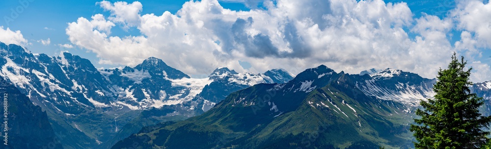 Fototapeta premium Switzerland, Panoramic view on green Alps from Schynige Platte