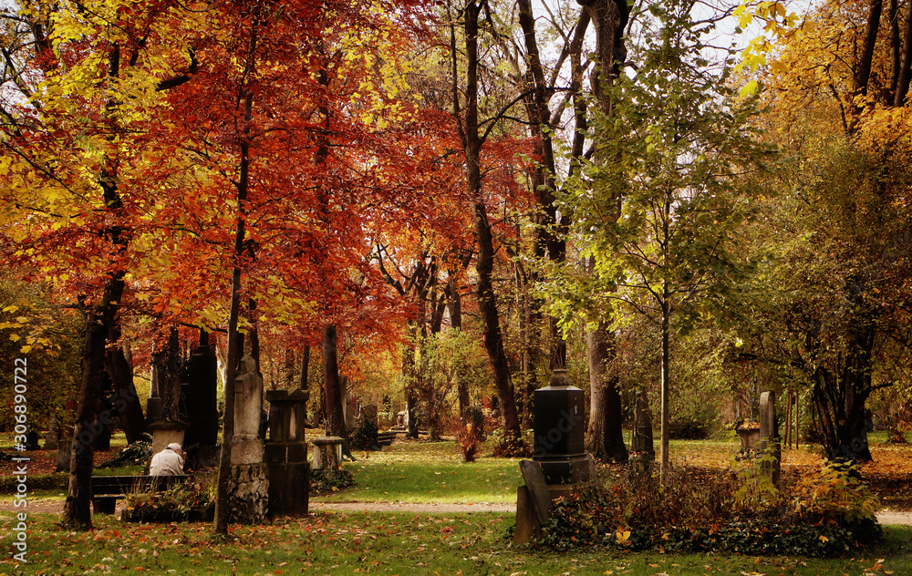 Munich, autumnal view with beautiful colors of Alter Nordfriedhof (old cemetery North), a dismiss graveyard now public park and green space for jogging and relax in the heart of the city