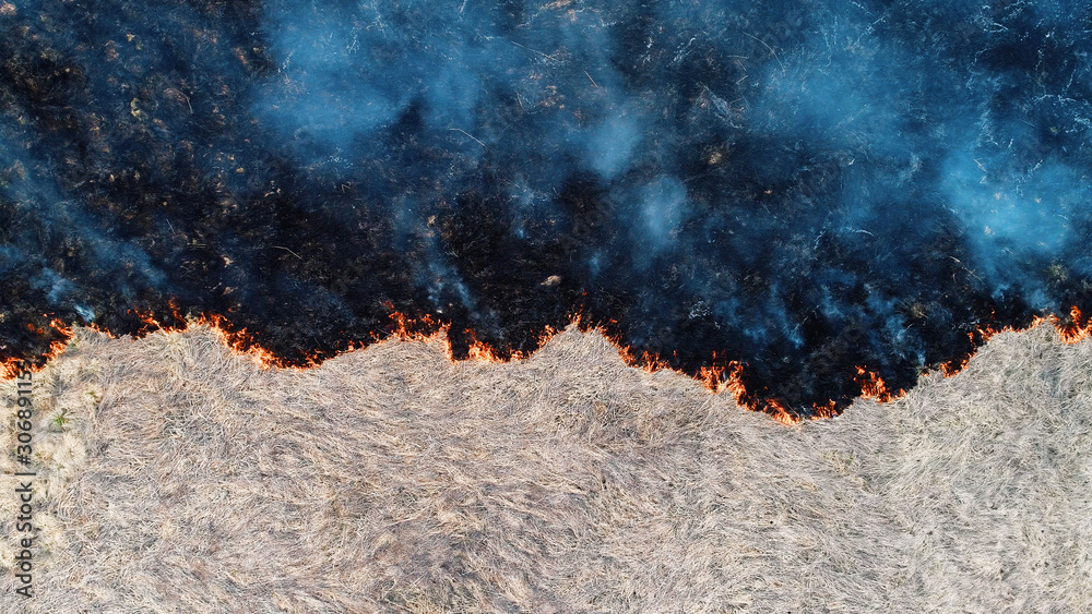 Forest and field fire. Dry grass burns, natural disaster. Aerial view. View vertically down, the camera hangs motionless.