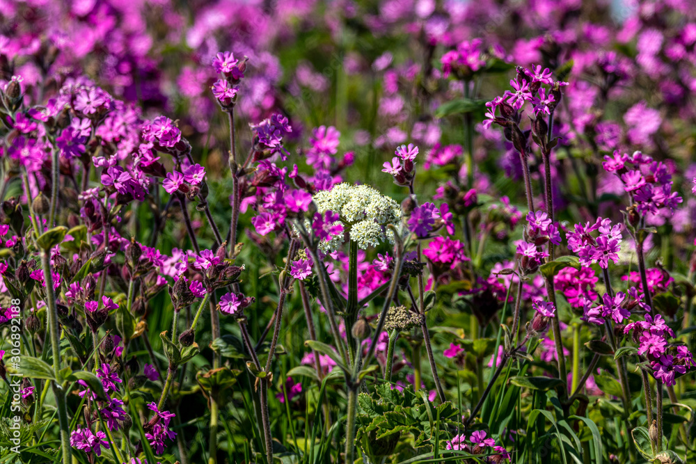 Landscapes and scenerise from England Landscapes and scenerise from England