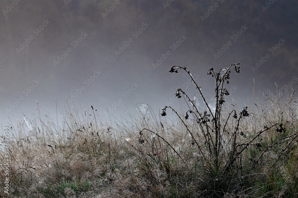 Fototapeta premium Landscapes and scenerise from England