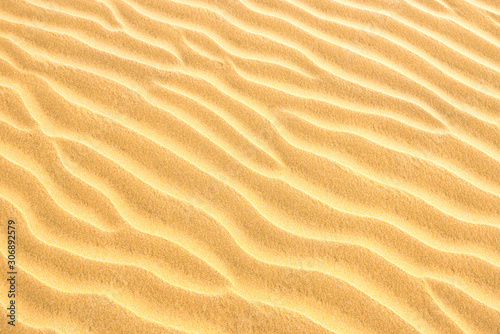 Pebble lying on texture of yellow sand dunes. Can be used as natural background