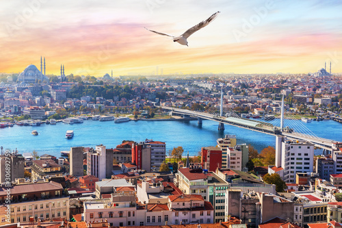 Obraz na płótnie Halic Metro Bridge and the Suleymaniye, view on the Fatih district of Istanbul, Turkey w salonie