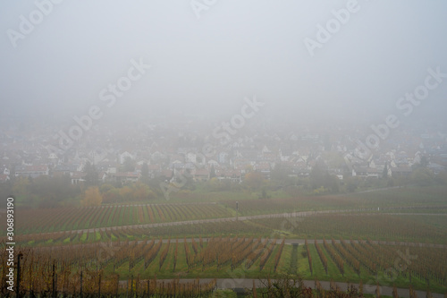 Germany  City fellbach near stuttgart in foggy autumn atmosphere  aerial view above vineyards over roofs and houses