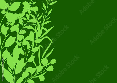 Background of sprigs with green leaves.