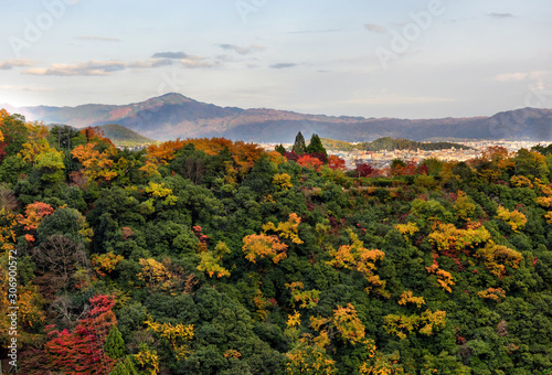 View of the city with colorful of maple forest at autumn season in Arashiyama, Kyoto, Japan photo