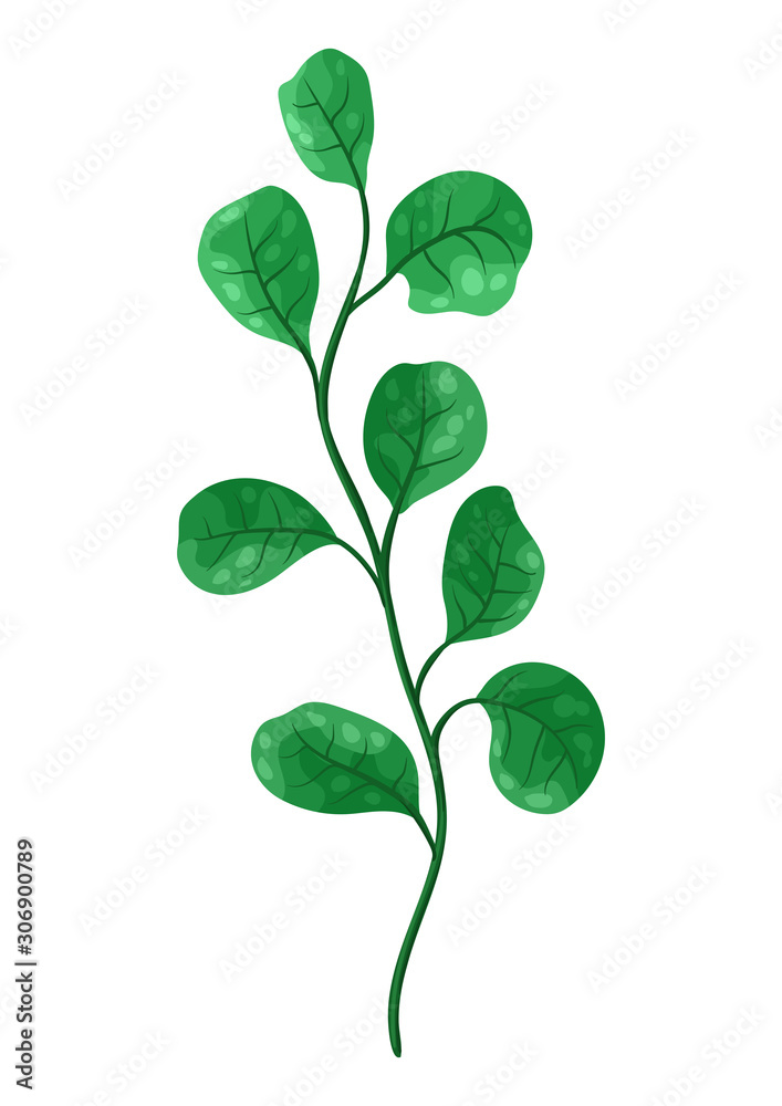 Illustration of sprig with green leaves.