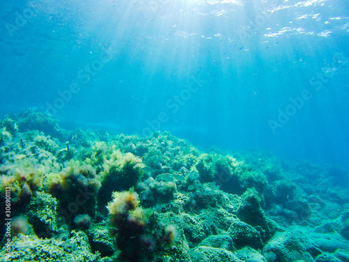 Underwater photograph of rock formations in the Mediterranean Sea © Marius