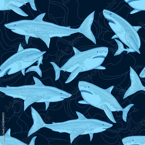 Shark pattern. Nautical ocean sea scare big fish animal tropical seamless background. Fish ocean, sea wildlife shark illustration