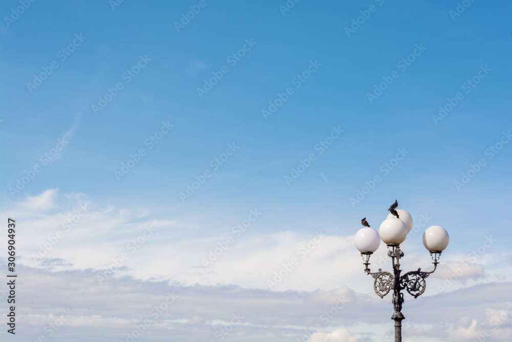Classical street light with pigeons sitting on the tops with blue sky on background