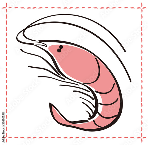 桜えび ベクター イラスト