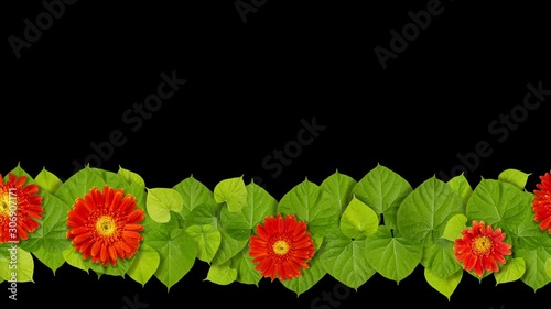 Flowers with green leaves frame 