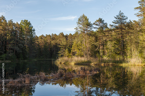 Daytime landscape of forest reflected in the lake