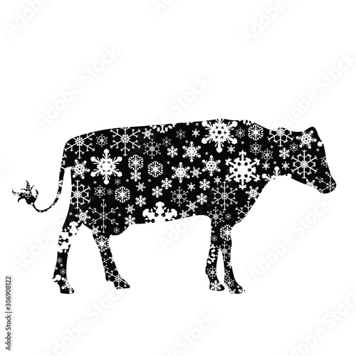Vector silhouette of snowy cow on white background. Symbol of winter  farm  breeding  garden  animal  season  snow  cold  snowflake  Christmas  frost.
