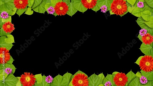 Flowers with green leaves frame 