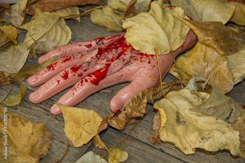 halloween decorations. Hand in blood in leaves